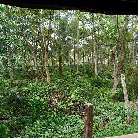 Отель Siddhartha Wildlife Retreat Meghauli Экстерьер фото