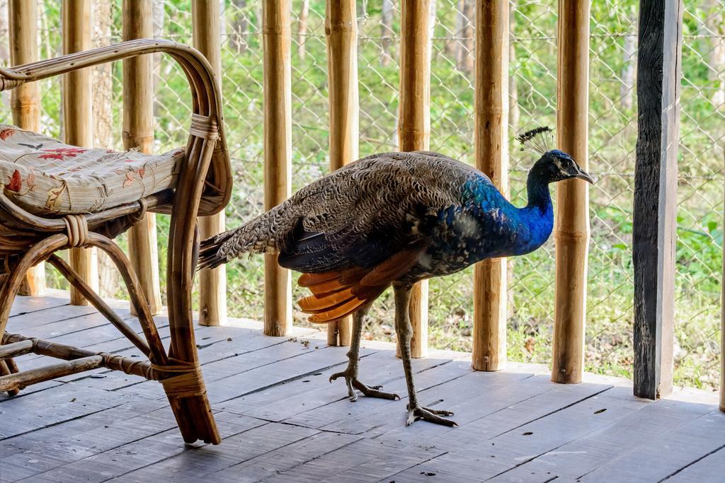 Отель Siddhartha Wildlife Retreat Meghauli Экстерьер фото