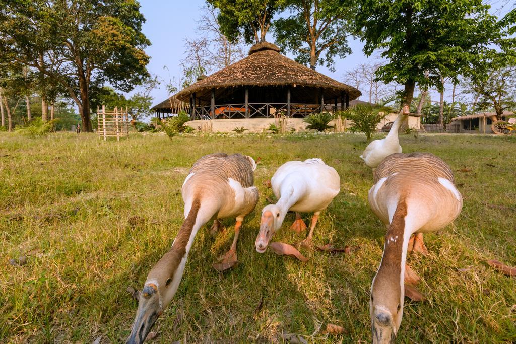 Отель Siddhartha Wildlife Retreat Meghauli Экстерьер фото
