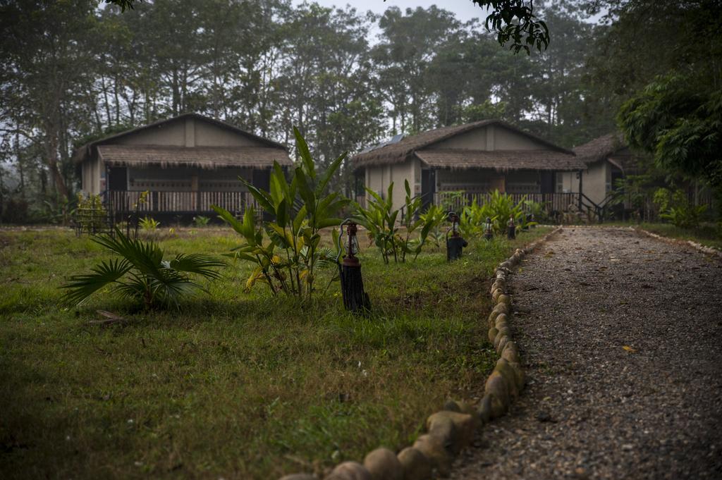 Отель Siddhartha Wildlife Retreat Meghauli Экстерьер фото