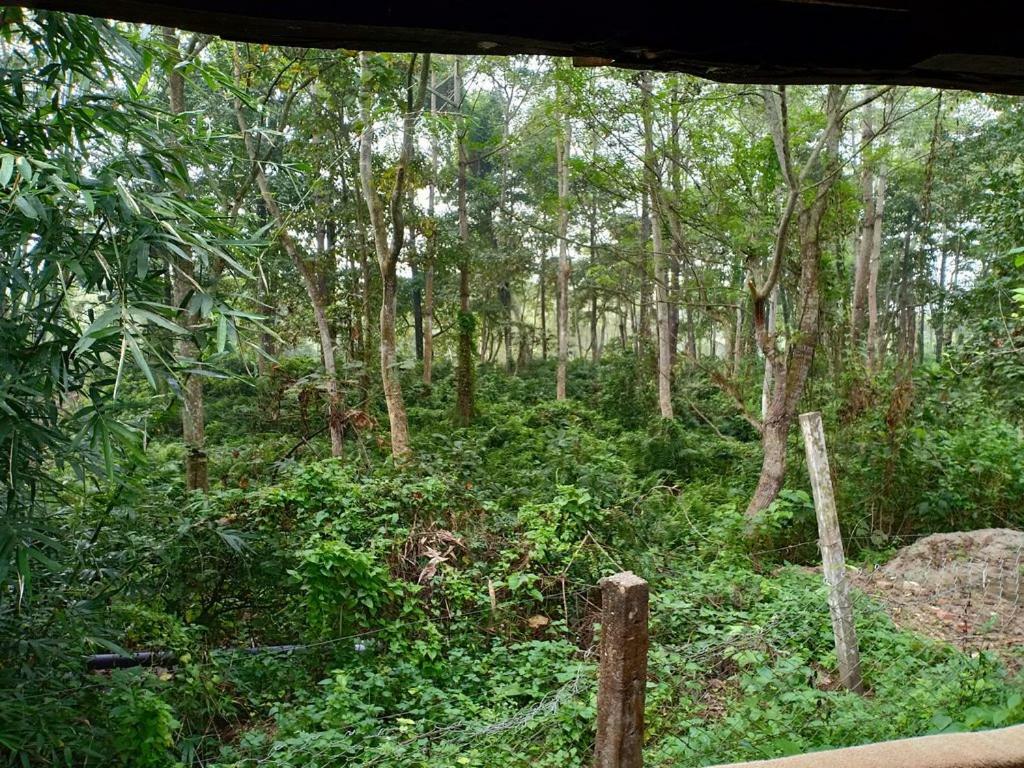 Отель Siddhartha Wildlife Retreat Meghauli Экстерьер фото